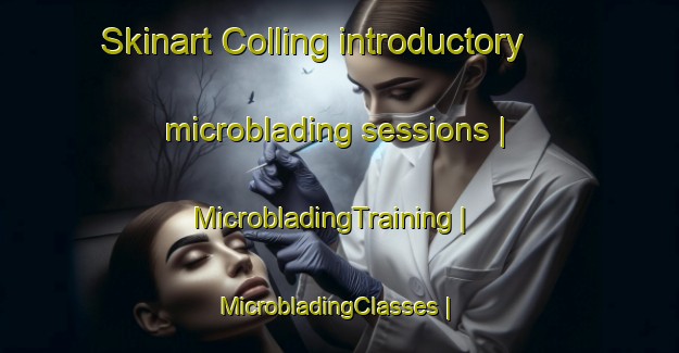 Skinart Colling introductory microblading sessions | MicrobladingTraining | MicrobladingClasses | SkinartTraining-United States